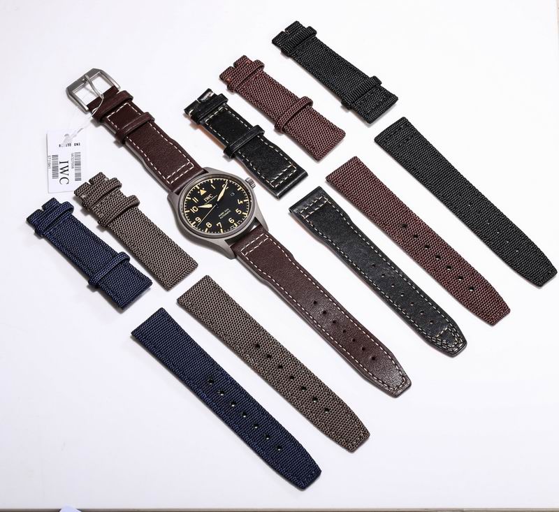 IWC Watch 032233